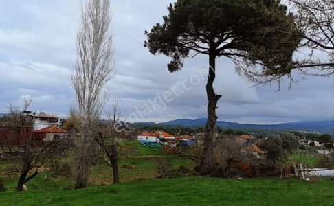 Arsa-Tarla