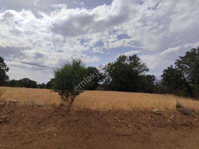 Arsa-Tarla