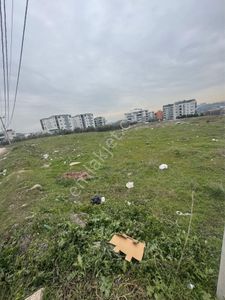 Arsa-Konut İmarlı