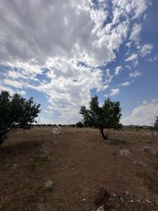 Arsa-Tarla
