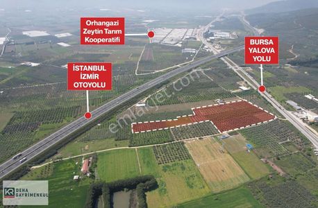 Arsa-Depo, Antrepo İzinli