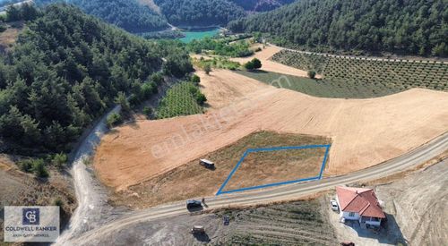 Arsa-Konut İmarlı
