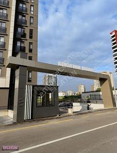 İşyeri-Dükkan & Mağaza