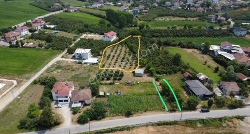 Arsa-Konut İmarlı