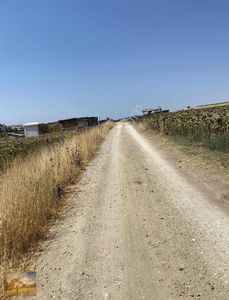 Arsa-Tarla