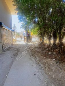 İşyeri-Dükkan & Mağaza