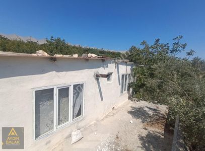 Arsa-Bağ & Bahçe