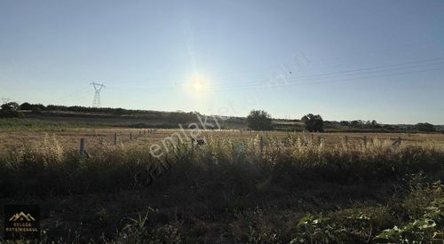 Arsa-Tarla