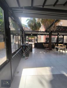İşyeri-Kafe & Bar