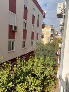 Konut-Daire