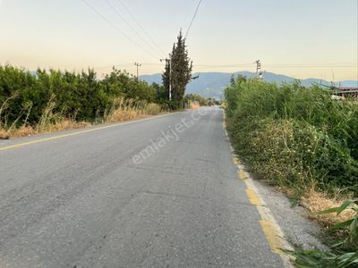 Arsa-Bağ & Bahçe