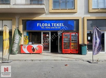 İşyeri-Dükkan & Mağaza