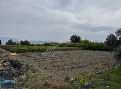 Arsa-Tarla