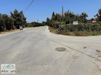 Arsa-Özel Kullanım