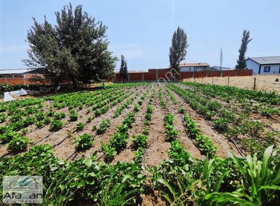 Arsa-Konut İmarlı
