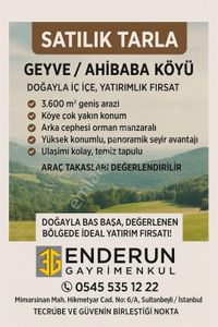 Arsa-Tarla