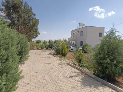 Arsa-Bağ & Bahçe