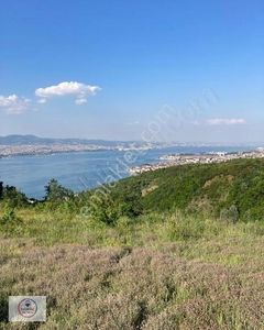Arsa-Bağ & Bahçe
