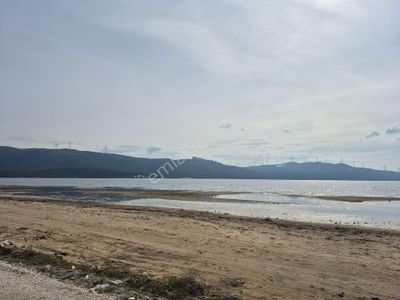 Arsa-Tarla