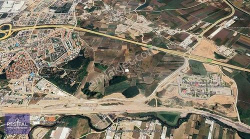 Arsa-Zeytinlik
