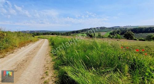 Arsa-Tarla