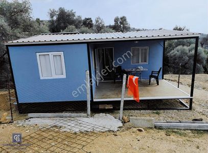 Arsa-Zeytinlik