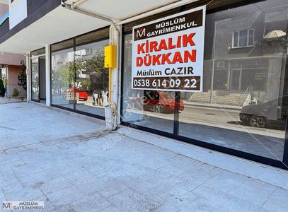İşyeri-Dükkan & Mağaza