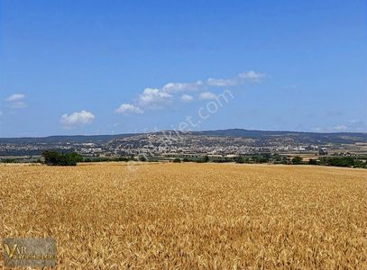 Arsa-Tarla