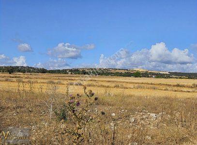 Arsa-Tarla