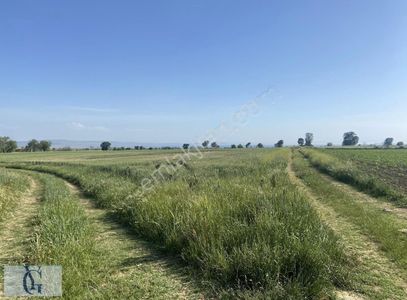 Arsa-Tarla