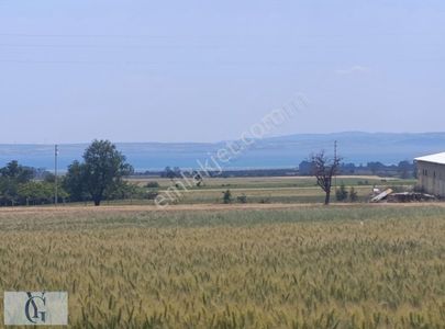 Arsa-Tarla