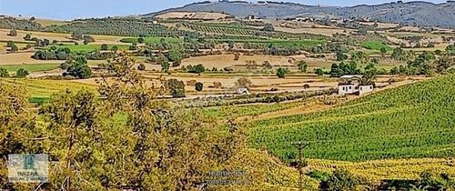 Arsa-Tarla