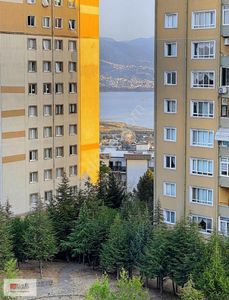 Konut-Daire