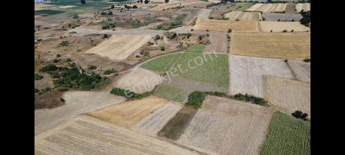 Arsa-Tarla