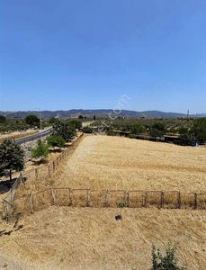 Arsa-Sanayi İmarlı