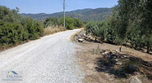 Arsa-Bağ & Bahçe