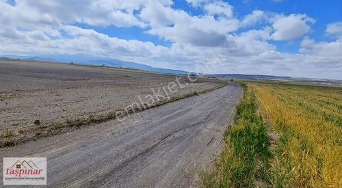 Arsa-Tarla
