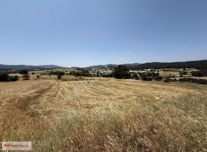 Arsa-Tarla