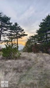 Arsa-Tarla