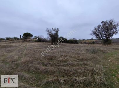 Arsa-Tarla