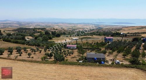 Arsa-Tarla