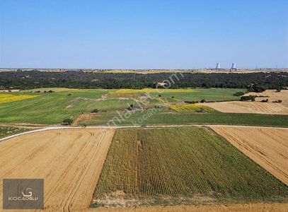 Arsa-Tarla