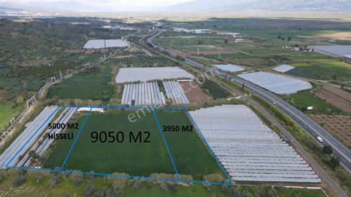 Arsa-Depo, Antrepo İzinli