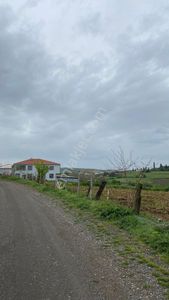 Arsa-Tarla