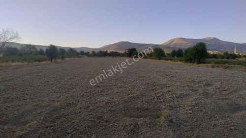 Arsa-Tarla