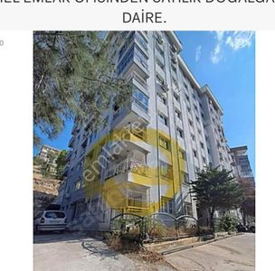 Konut-Daire