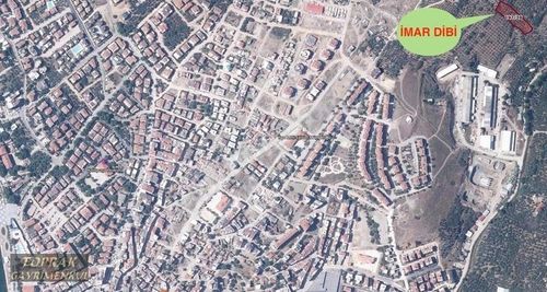 Arsa-Zeytinlik