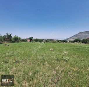 Arsa-Villa İmarlı