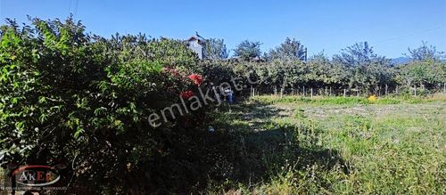Arsa-Bağ & Bahçe