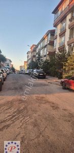 İşyeri-Dükkan & Mağaza
